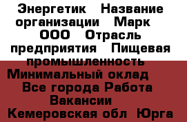 Энергетик › Название организации ­ Марк 4, ООО › Отрасль предприятия ­ Пищевая промышленность › Минимальный оклад ­ 1 - Все города Работа » Вакансии   . Кемеровская обл.,Юрга г.